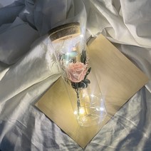 [편지지100일코르크보틀] [프렌치로즈]6타입 LED 코르크 유리병 기념일 선물 꽃 편지지 세트, 핑크프리저브드플라워
