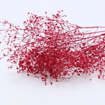 앨리플라워 프리저브드 소량 판매 드라이플라워 디퓨져만들기, 1-11미니안개 와인