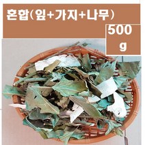 황칠나무즙45팩(115ml)/kb 사포닌함류 인삼나무인 황칠 자연그 대로, 2형(황칠나무500g(혼합/나무+잎), 45개, 115ml