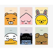 (디머스) 카카오프렌즈 L자 홀더 ㄱ자 화일 낱장 화일 10장입, 프로도