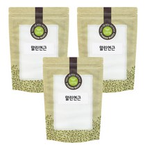 말린연근 건연근 300g x 3 국산 국내산, 단품, 단품