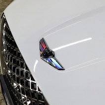 [3G MALL] 제네시스 G70 G80 GV70 GV80 홀로그램 엠블럼 스티커, 선택) 리어 - 공용(EQ900_G80DH_사용불가)