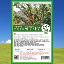 앵두나무 씨앗 앵두 나무 씨 종자 50g