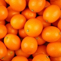 농가살리기 국내산 제주낑깡 23년 첫수확 제주금귤 햇낑깡, 제주 햇낑깡 1kg