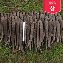 제주흙더덕 실속형 (상 중상 중) 2kg~10kg, (중) 10kg