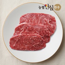 [농협안심한우] 국내산 1등급 한우 채끝 구이용 400g 소고기 채끝살 가정용 캠핑용, 상세 설명 참조