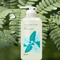 청미정 박하 쿨 두피 샴푸 정수리냄새 500ml, 1개