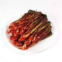 대도김치 전라도 파김치, 1개, 1kg