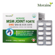 모레인 엠에스엠 조인트 포르테 120정 관절 MSM 효능 무릎염증 관절 연골 영양제