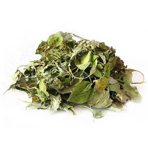 토종원 어성초100g 제천 약초장인