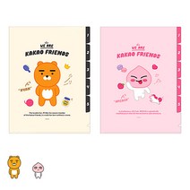 카카오프렌즈 화일철 5포켓 파이브포켓파일 서류보관, 카카오프렌즈25 5포켓화일-라이언