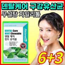 상쾌한 숨결 민트맛 특허받은 입 구강 유산균 관리 입냄새 구취 치주질환 충지 유해균 억제 도움 무설탕 자일리톨 츄어블, 9개