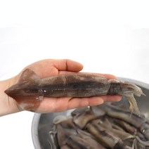 오징어통찜 총알 초코오징어 1kg, 초코오징어 1kg(5-6미), 1개