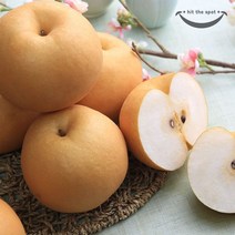 농협 농협 햇살담은 알뜰 천안신고배 5kg, 1개