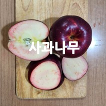 같이가치농원 