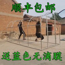 비닐하우스시공 가정용 소형 비닐 하우스 설치 온실 꽃집 작은 난방 뼈대 비막이 베란다 옥상 식물 보온 다육 겨울나기, 13 3미터폭6m 길이2쌀 높이（무적막 보내기）