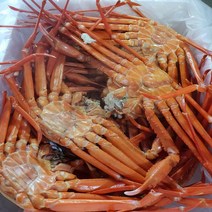 자숙홍게 제철 포항대게 수율보장 연지홍게 3kg, 1개