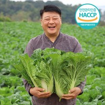 [입점특가] HACCP 해남 특급 절임배추, 10kg, 목요일 출고 금요일 도착