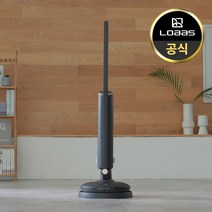 로아스 무선스팀 물걸레청소기 AKS-5000 듀얼스핀 가정용 살균 다용도 밀대, 매트블랙