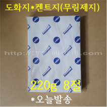 [ 학교납품전문 ] 켄트지 220g 8절 100장 / 전문가용 무림도화지
