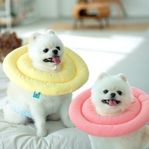 강아지 넥카라 애견 고양이 깔대기 ufo 목보호대 쿠션 시즌1포그니 S, 라벤더2XL