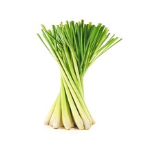 레몬그라스 1kg/Lemon Grass, 1KG