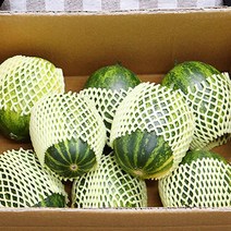 멜론제철 과일멜론 파파야메론 2kg 3kg 5kg, 파파야메론_3kg