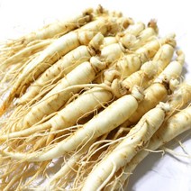 국산 가정용 싱싱한 인삼 세척인삼 원삼 8-12편(300g)