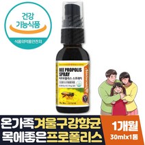 맛있는 폴리폴리스 뿌리는 폴리폴리스스프레이 선물 목에좋은 구강햘균 영양제 선물 식약처인증 플라보노이드 겨울