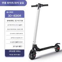 플랑드르 M01 킥보드 성인 추천 전기 전동킥보드 매장 접이식 전동, 24V, E