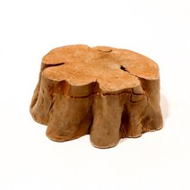 세틀 그루터기 절단 유목 M