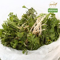 [태안직송] 안면도 황토 흙냉이 세척냉이 500g/1kg, 흙냉이 1kg