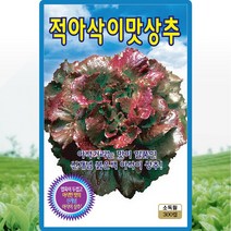 적아삭이맛상추 씨앗 상추 씨 종자 300립, 1개