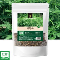 유기농 개똥쑥 개똥쑥차 말린쑥 300g, 유기농 개똥쑥 300g, 1개