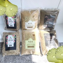 녹소토 2L 미립 소립 화분갈이흙 적옥토 산야초 분갈이용토 동생사 식물 관엽식물 소포장, 녹소토(소립)