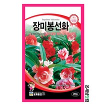 장미봉선화 20립 / 꽃씨 화단 꽃밭 정원 봉선화씨앗, 상세페이지 참조