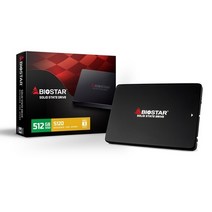 BIOSTAR S120, 512GB
