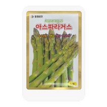 아스파라거스씨 50립 아스파라거스 씨앗 대장 동원종묘
