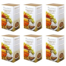 Revolution Tea 메쉬 인퓨저 풀 리프 허니부쉬 캬라멜 허브 티 16티백 6팩, Honeybush Caramel, 16 Count (Pack of 1)