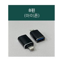 한국미디어시스템 최신형 C타입 초소형 녹음기 음성인식 휴대용 장시간 고성능 보이스레코더 KVR-27, (추가 A-3) OTG젠더 8핀(아이폰)