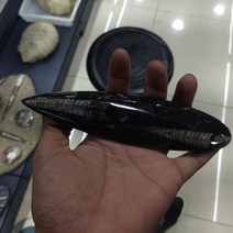 수석 천연석천연 광택 직각 돌 표본 15-17cm 바다 동물 마다가스카르 오리지널 미네랄, 한개옵션0