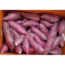 [GAP인증] 껍질째 먹는 영암산 황토 꿀고구마 한입크기(30~60g/개)/세척.살균+큐어링(숙성), 10kg