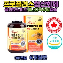 로얄 프로폴리스 성분 함량 여자 항산화 영양제 효능 플라보노이드 직구 환절기 남자 여자 플로 폴리 폴리스 캐나다 royal 수입품 대용량 식약처인정