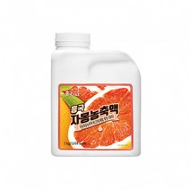 흥국에프앤비 자몽 농축액 1kg, 1개