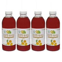 4년 숙성지구마을 황매실청 매실원액 1000ml, 4병