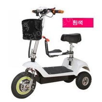 세발 전기자전거 접이식 삼륜 배달 3륜 전동오토바이 컬러 여성용 가정용 남성용 바구니, 48V, 흰색