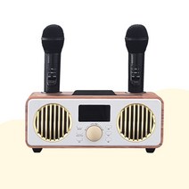 NEBEPE 노래방마이크 듀얼 무선 블루투스스피커 BSE-NBF9000