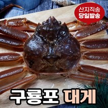 [당일발송] 영덕대게 생물 자숙 포항 구룡포 국내산, 9.영덕대게 대 (10~11cm) 10미