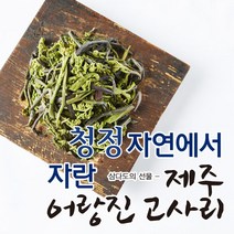 eTV 23년 제주 어랑진 햇고사리 300g*3팩, 300g, 3개