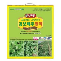 곰보배추원액 (80ml 60포) 미산약초농장, 단품, 단품